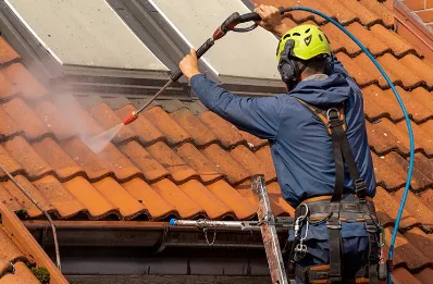 Démoussage et hydrofuge de toiture à Barbières